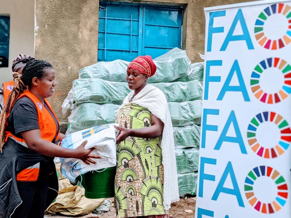 Distribution de semences